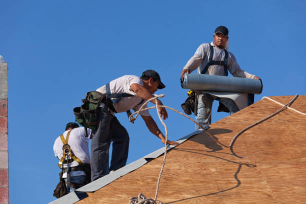 Best Roof Gutter Cleaning  in Johns Creek, GA