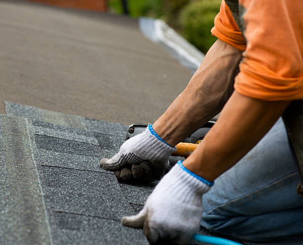 Best Gutter Installation and Roofing  in Johns Creek, GA